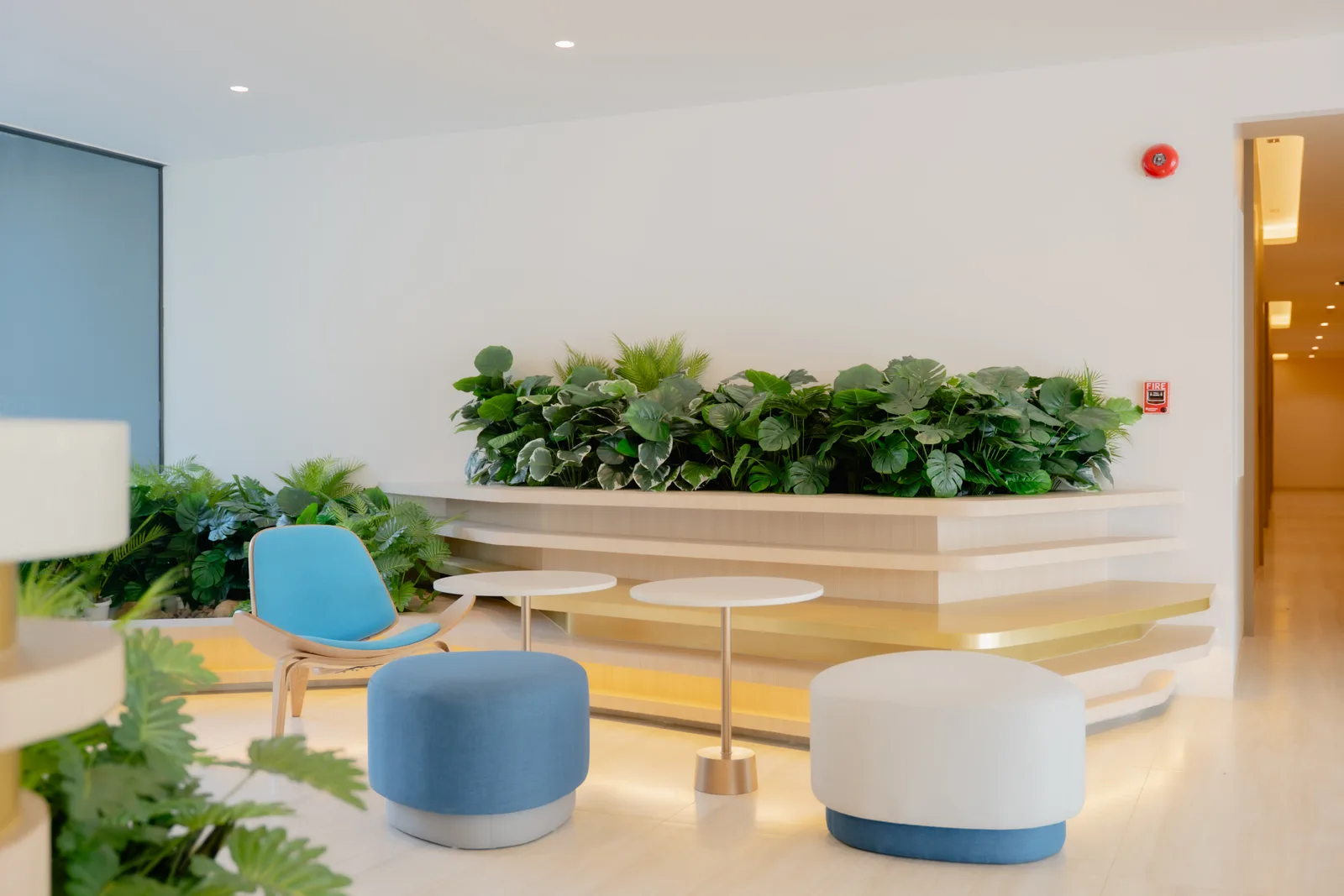 Studio, 38 sqm
